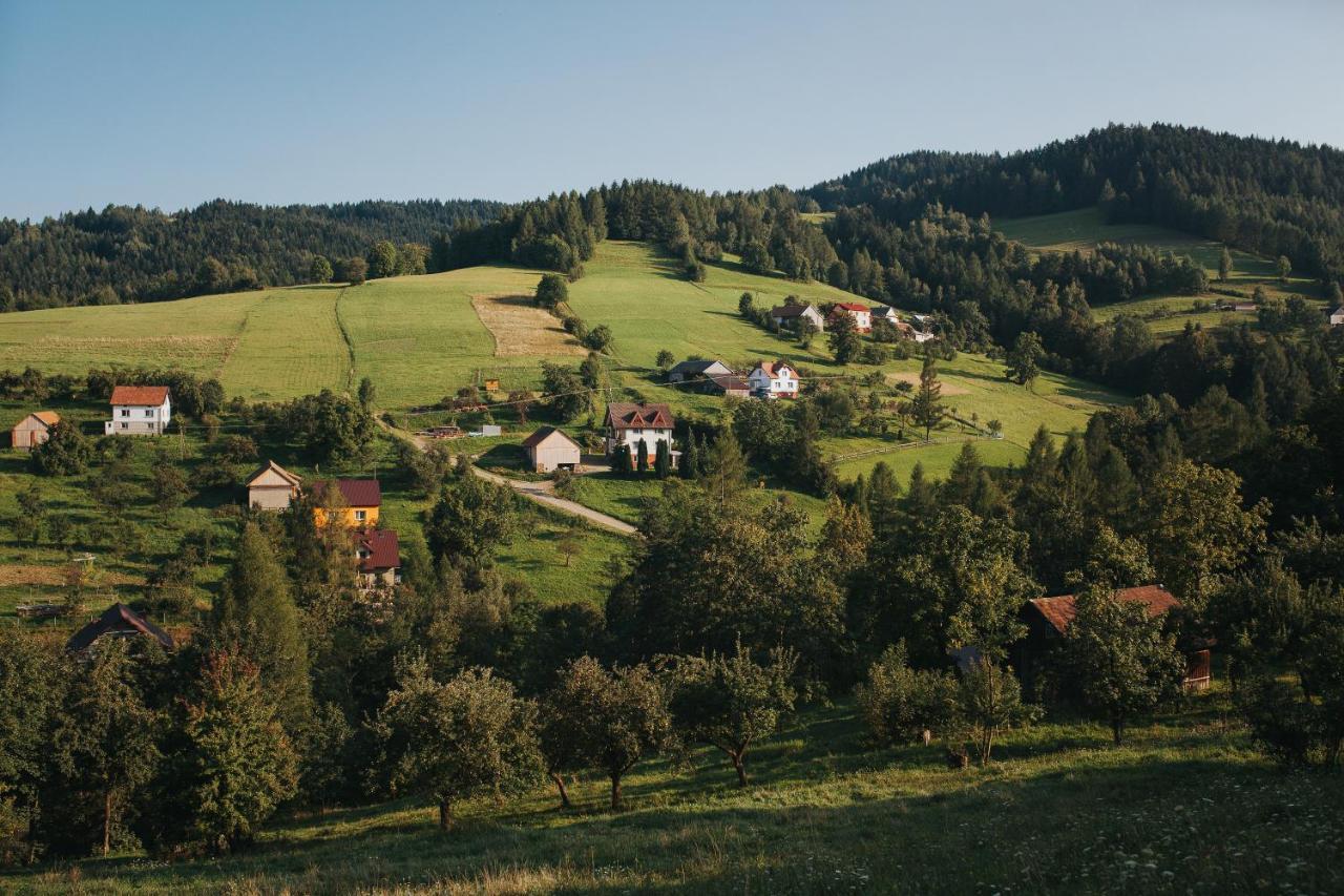 Pasieka - Dom Wypoczynkowy Bacza Exterior photo